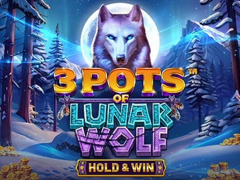 تین پاٹس آف لونر وولف game thumbnail